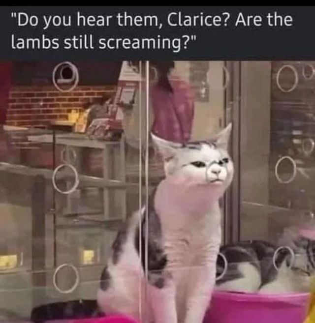 Bildschirmarbeiter - Picdump KW29 2021