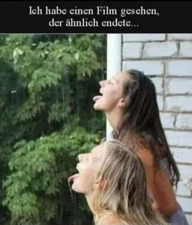 Bildschirmarbeiter - Picdump KW29 2021