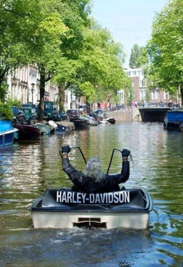 Bildschirmarbeiter - Picdump KW29 2021