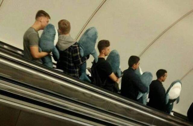 Bildschirmarbeiter - Picdump KW29 2021