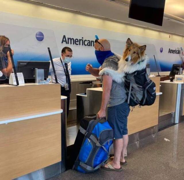 Bildschirmarbeiter - Picdump KW29 2021