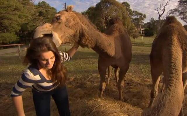 Bildschirmarbeiter - Picdump KW29 2021