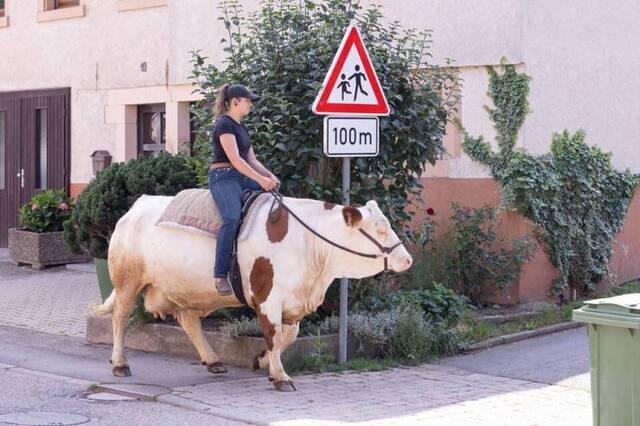 Bildschirmarbeiter - Picdump KW29 2021