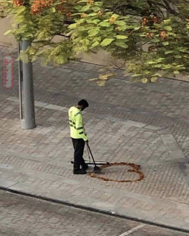 Bildschirmarbeiter - Picdump KW29 2021