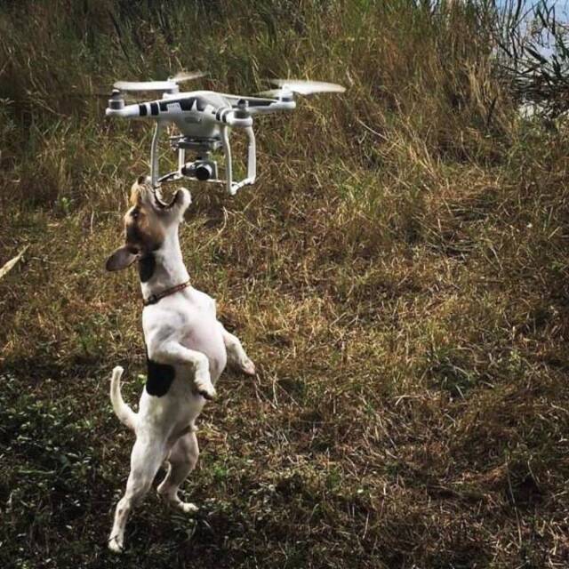 Bildschirmarbeiter - Picdump KW29 2021