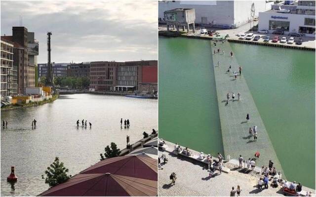 Bildschirmarbeiter - Picdump KW29 2021