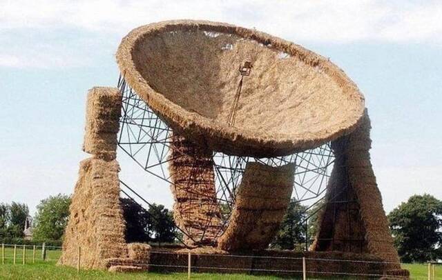 Bildschirmarbeiter - Picdump KW29 2021