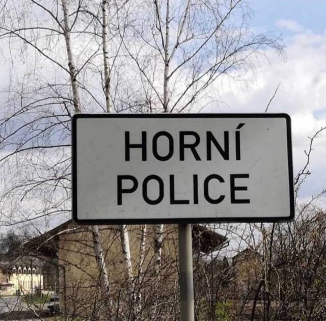 Bildschirmarbeiter - Picdump KW29 2021