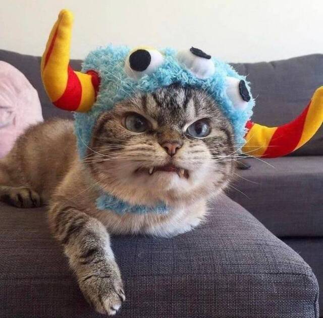 Bildschirmarbeiter - Picdump KW29 2021