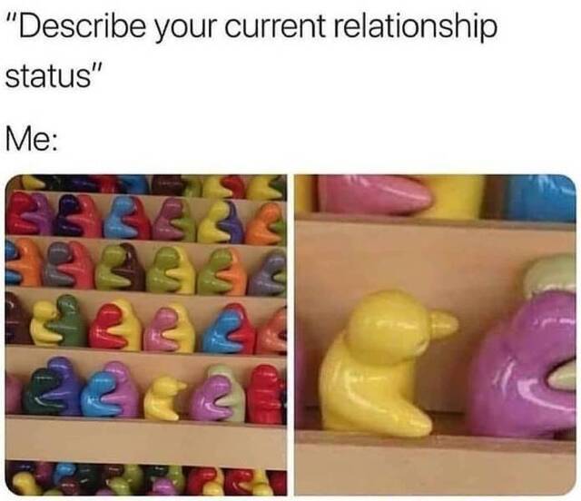 Bildschirmarbeiter - Picdump KW29 2021