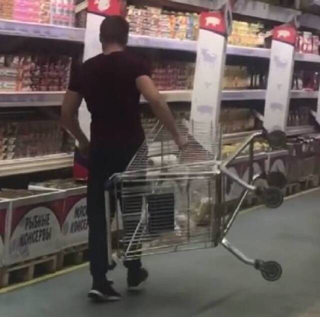 Bildschirmarbeiter - Picdump KW29 2021