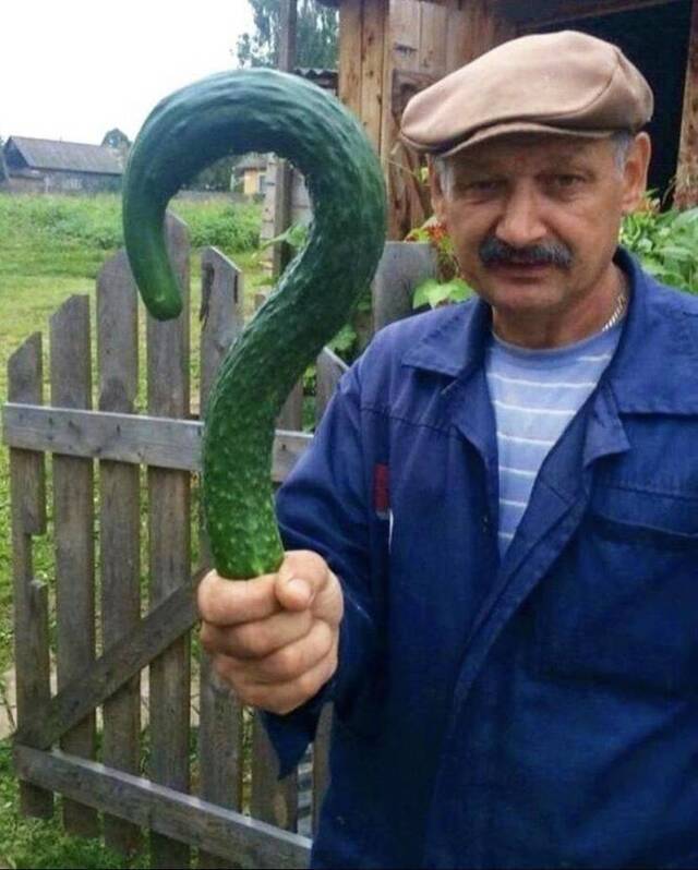 Bildschirmarbeiter - Picdump KW29 2021