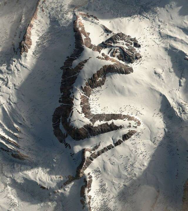 Bildschirmarbeiter - Picdump KW29 2021