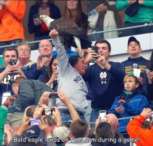 Bildschirmarbeiter - Picdump KW29 2021