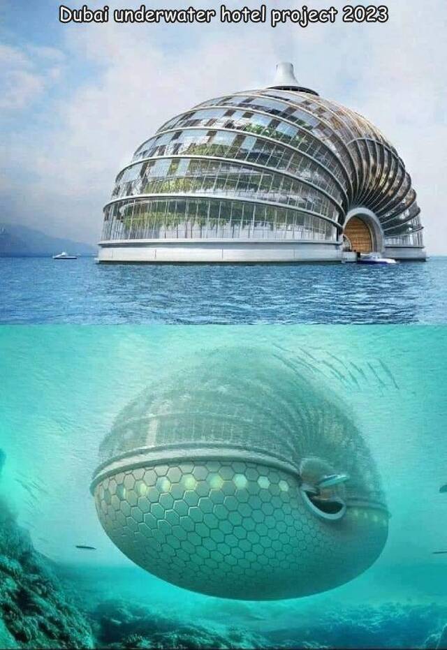 Bildschirmarbeiter - Picdump KW29 2021