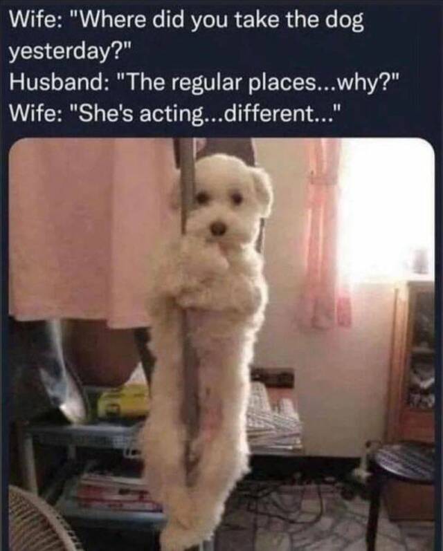 Nachschlag - Bildschirmarbeiter - Picdump KW 29/2022