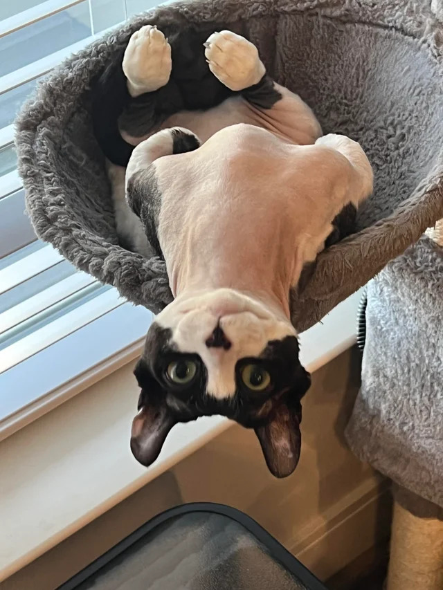 Nachschlag - Bildschirmarbeiter - Picdump KW 29/2022