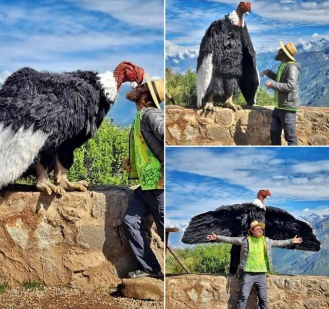 Nachschlag - Bildschirmarbeiter - Picdump KW 29/2022