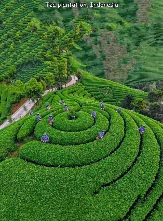 Nachschlag - Bildschirmarbeiter - Picdump KW 29/2022