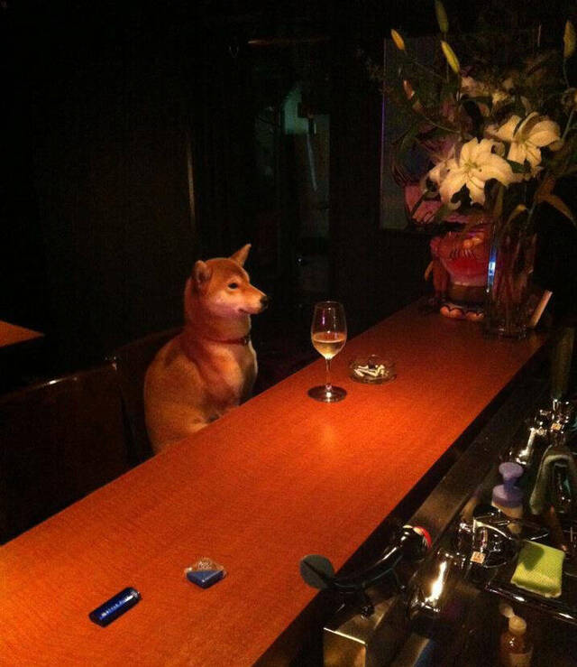 Nachschlag - Bildschirmarbeiter - Picdump KW 29/2022