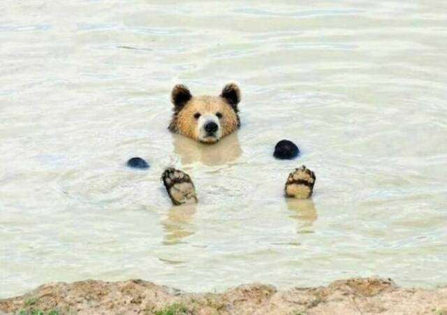 Nachschlag - Bildschirmarbeiter - Picdump KW 29/2022