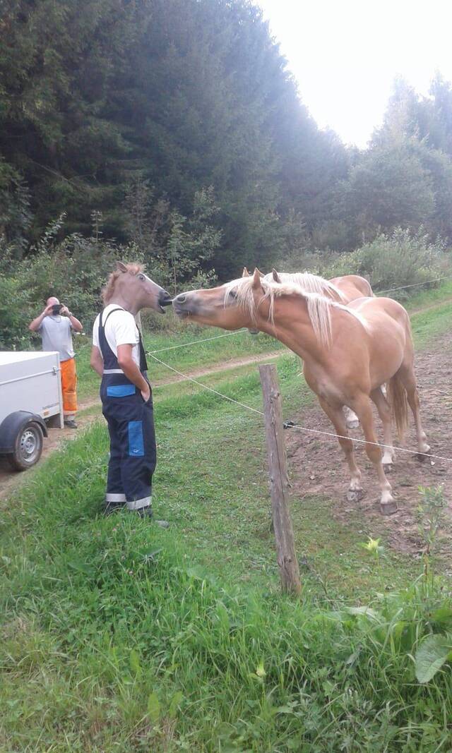 Bildschirmarbeiter - Picdump KW 29/2026