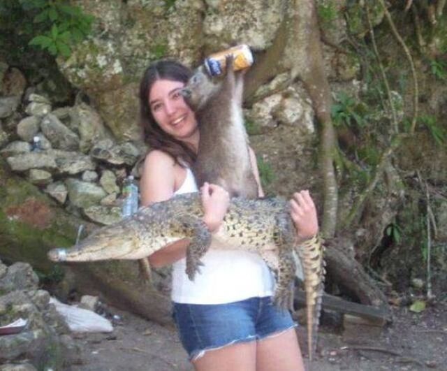 Bildschirmarbeiter - Picdump KW 29/2026