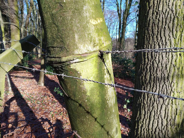 Bildschirmarbeiter - Picdump KW 29/2026