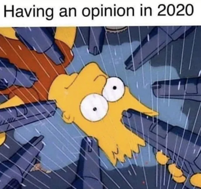 Bildschirmarbeiter - Picdump KW30 2020