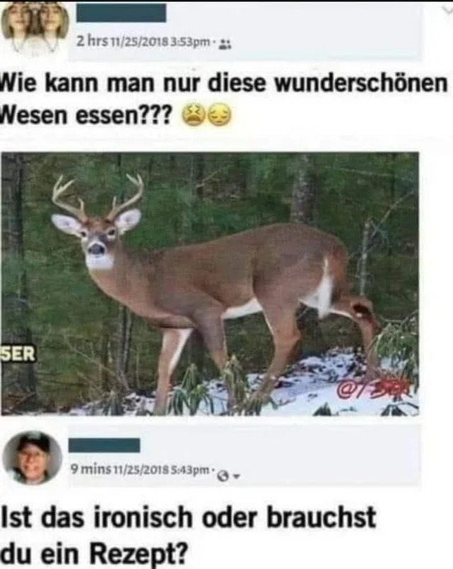 Bildschirmarbeiter - Picdump KW30 2020