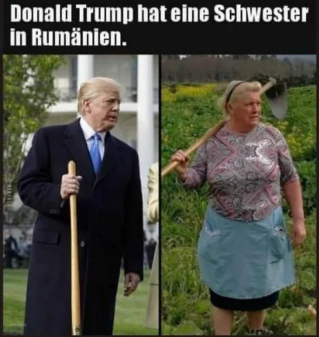 Bildschirmarbeiter - Picdump KW30 2020