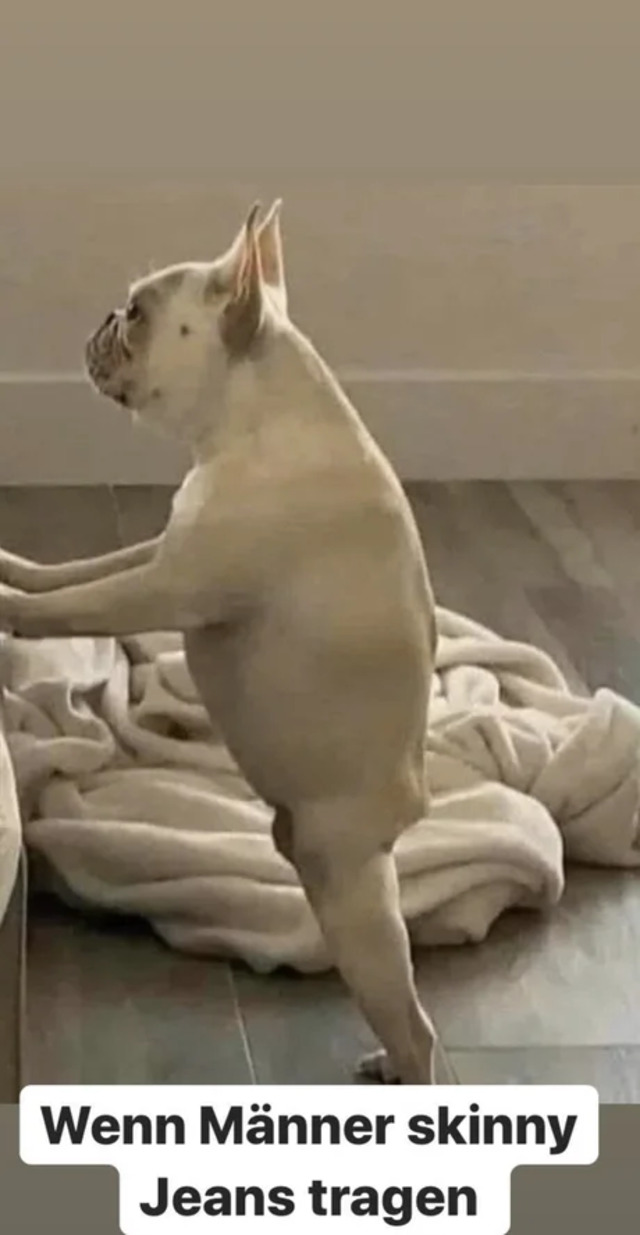 Bildschirmarbeiter - Picdump KW30 2020