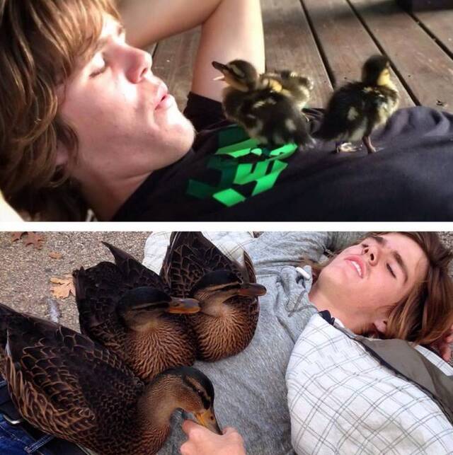 Bildschirmarbeiter - Picdump KW30 2020