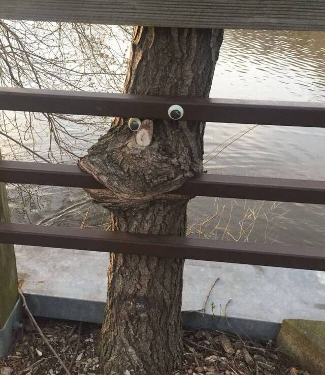 Bildschirmarbeiter - Picdump KW30 2020