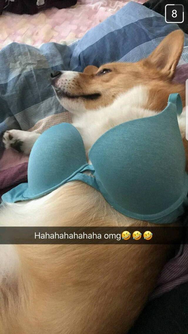 Bildschirmarbeiter - Picdump KW30 2020