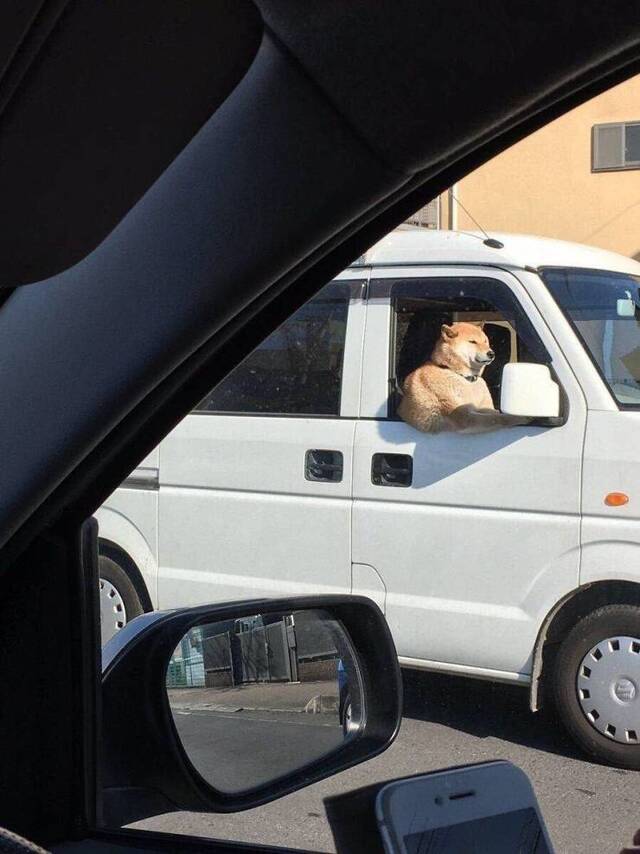 Bildschirmarbeiter - Picdump KW30 2020