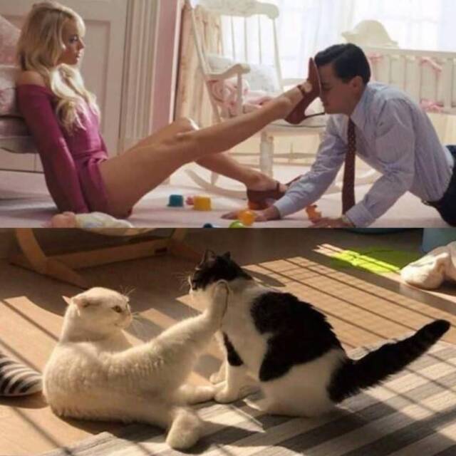 Bildschirmarbeiter - Picdump KW30 2020