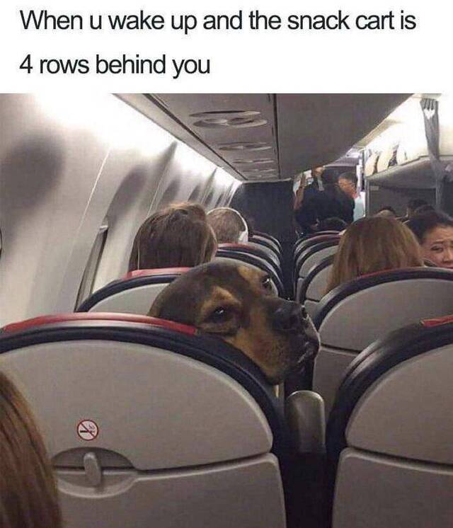 Bildschirmarbeiter - Picdump KW30 2020