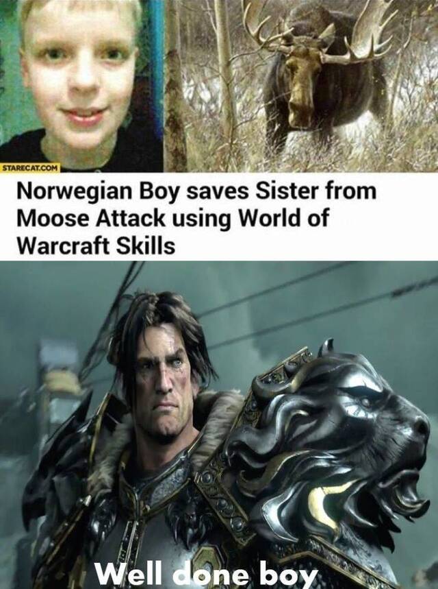 Bildschirmarbeiter - Picdump KW30 2020