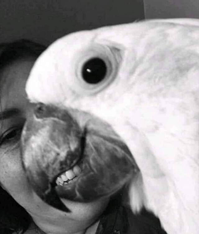 Bildschirmarbeiter - Picdump KW30 2020