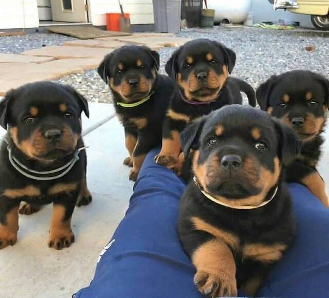 Bildschirmarbeiter - Picdump KW30 2021