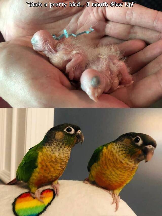 Bildschirmarbeiter - Picdump KW30 2021