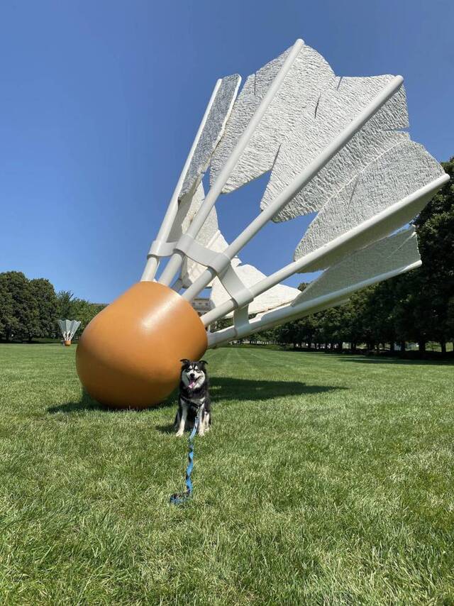 Bildschirmarbeiter - Picdump KW30 2021