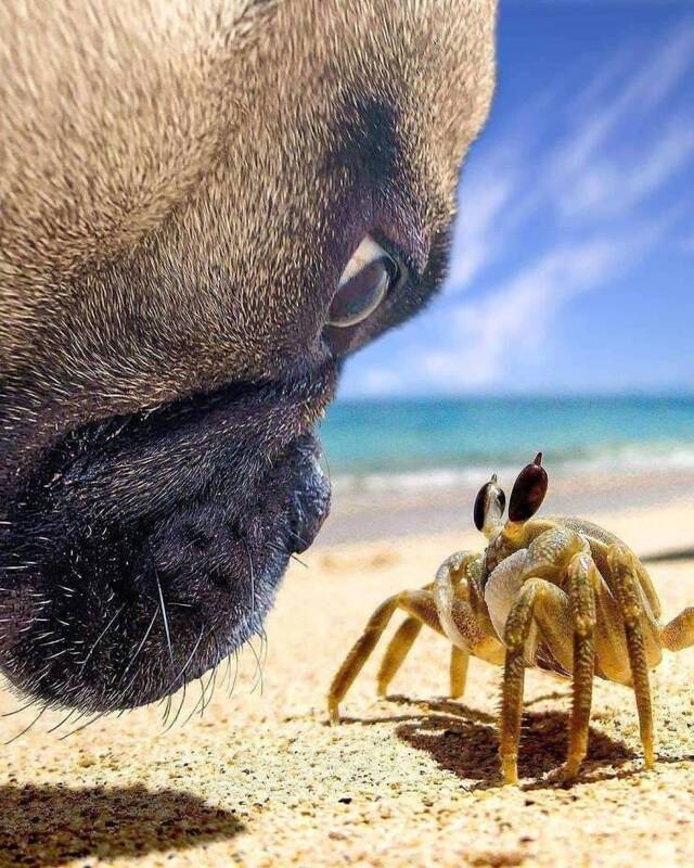 Bildschirmarbeiter - Picdump KW30 2021