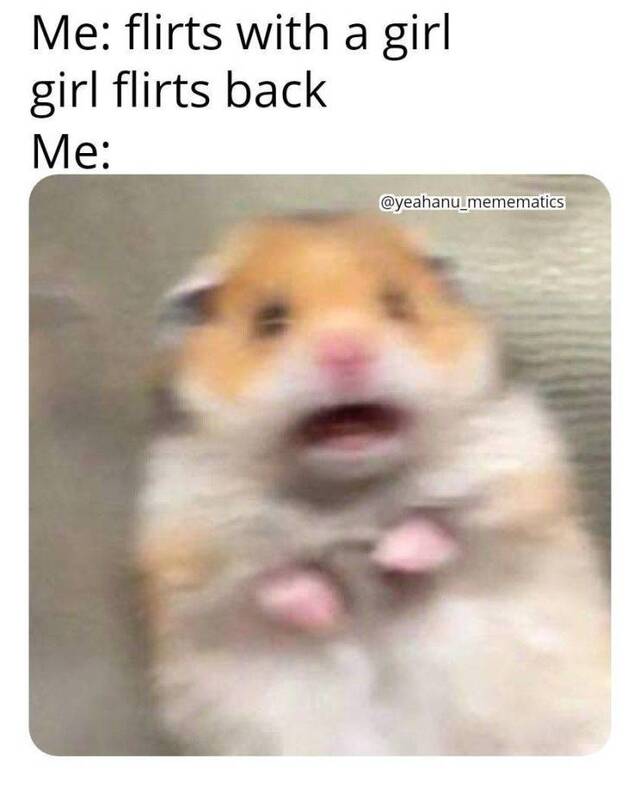 Bildschirmarbeiter - Picdump KW30 2021