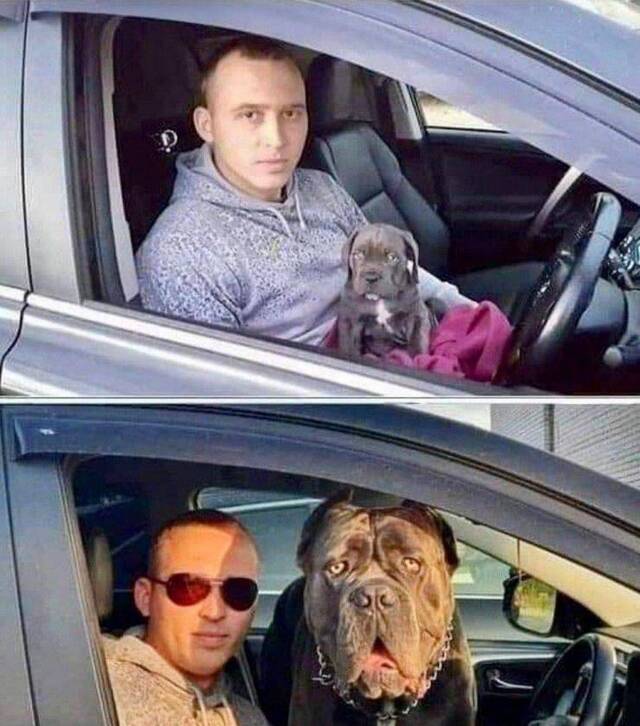 Bildschirmarbeiter - Picdump KW30 2021