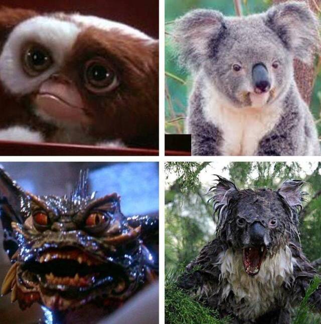 Bildschirmarbeiter - Picdump KW30 2021