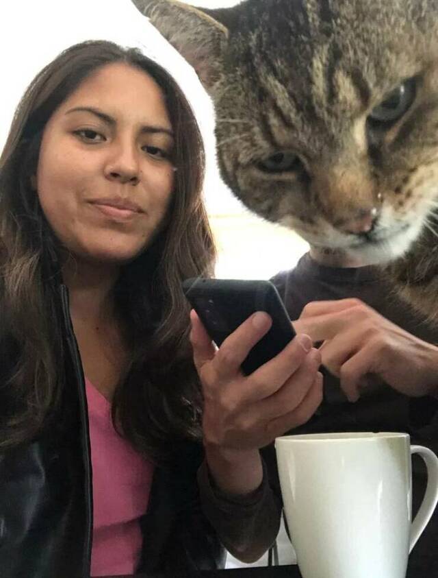 Bildschirmarbeiter - Picdump KW 30/2022