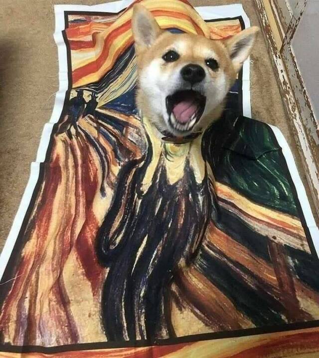 Bildschirmarbeiter - Picdump KW 30/2022