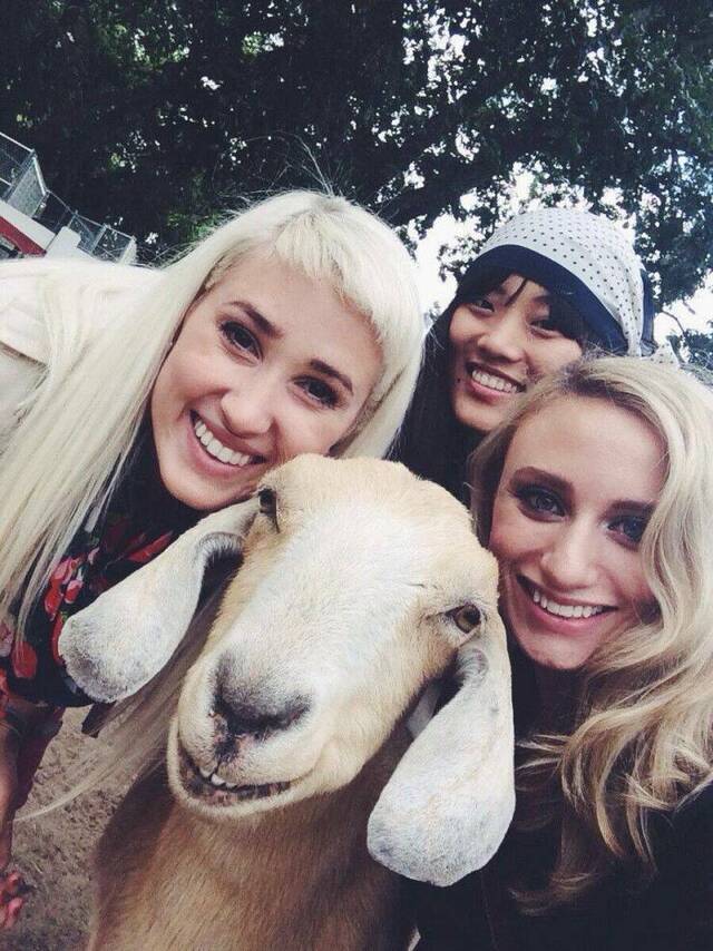 Bildschirmarbeiter - Picdump KW 30/2022